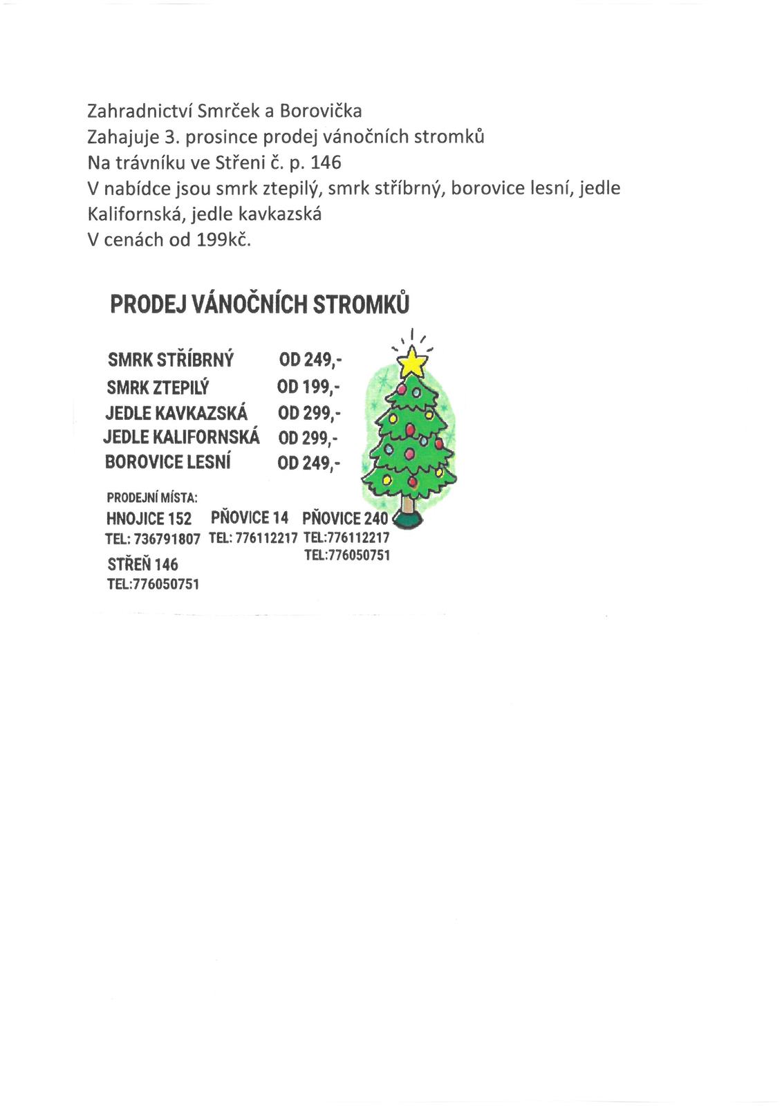 Prodej vánočních stromků.jpg