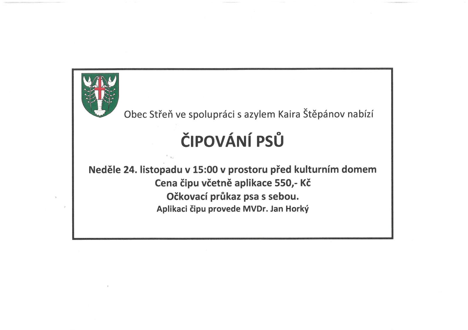 čipování psů.jpg